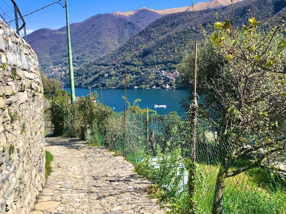 Romantic Home Stone With Amazing View Lake Of Como And Oleandra Laglio Ngoại thất bức ảnh