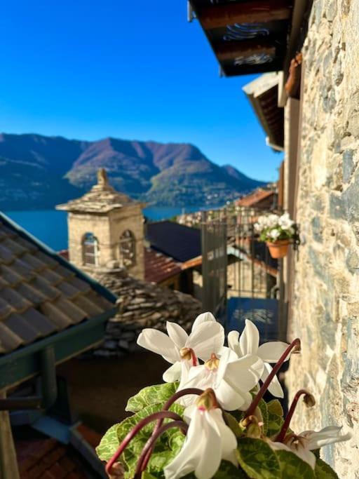 Romantic Home Stone With Amazing View Lake Of Como And Oleandra Laglio Ngoại thất bức ảnh