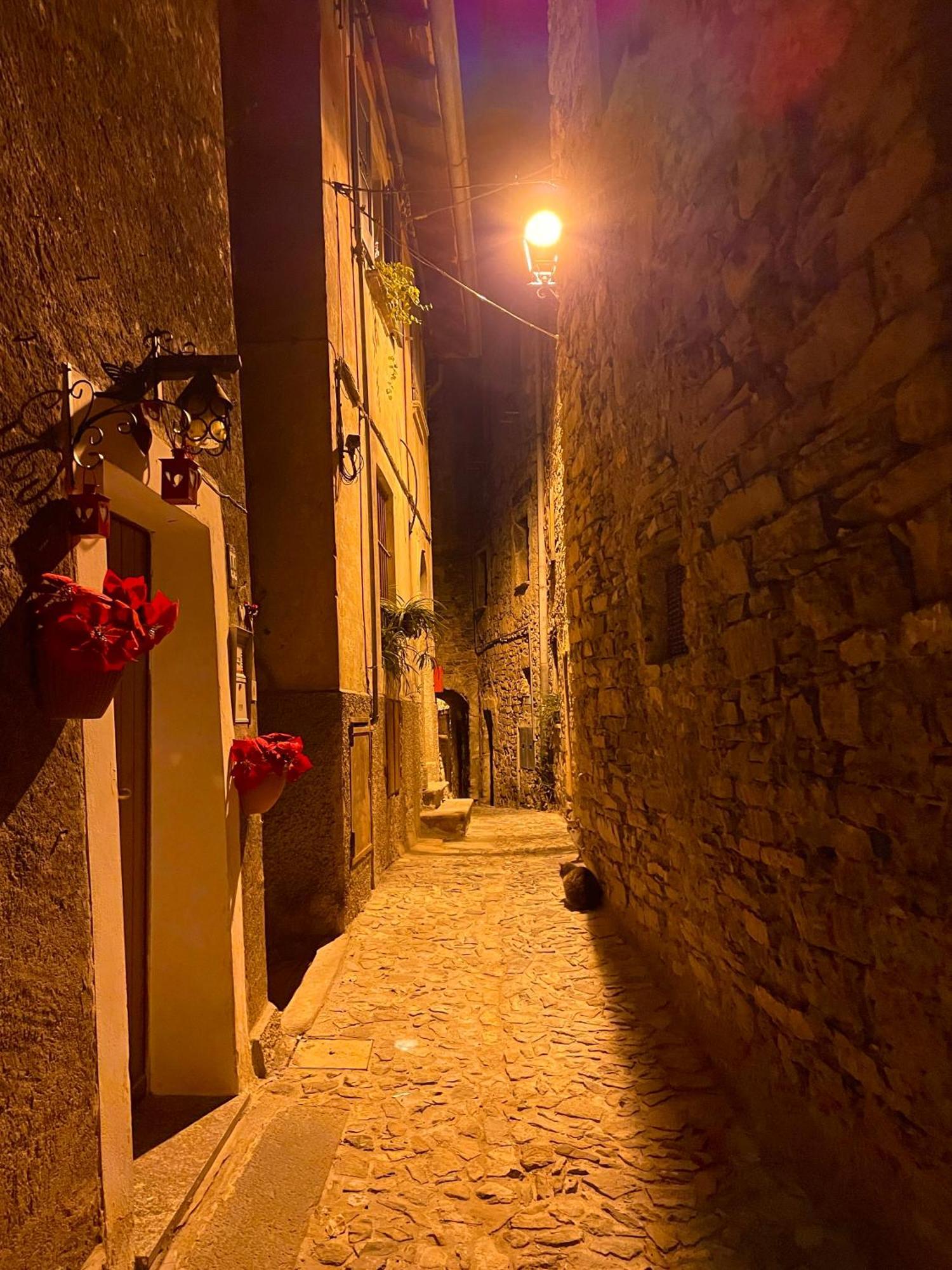 Romantic Home Stone With Amazing View Lake Of Como And Oleandra Laglio Ngoại thất bức ảnh
